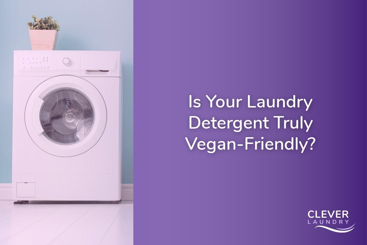 Is Your Laundry Detergent Truly VeganFriendly?